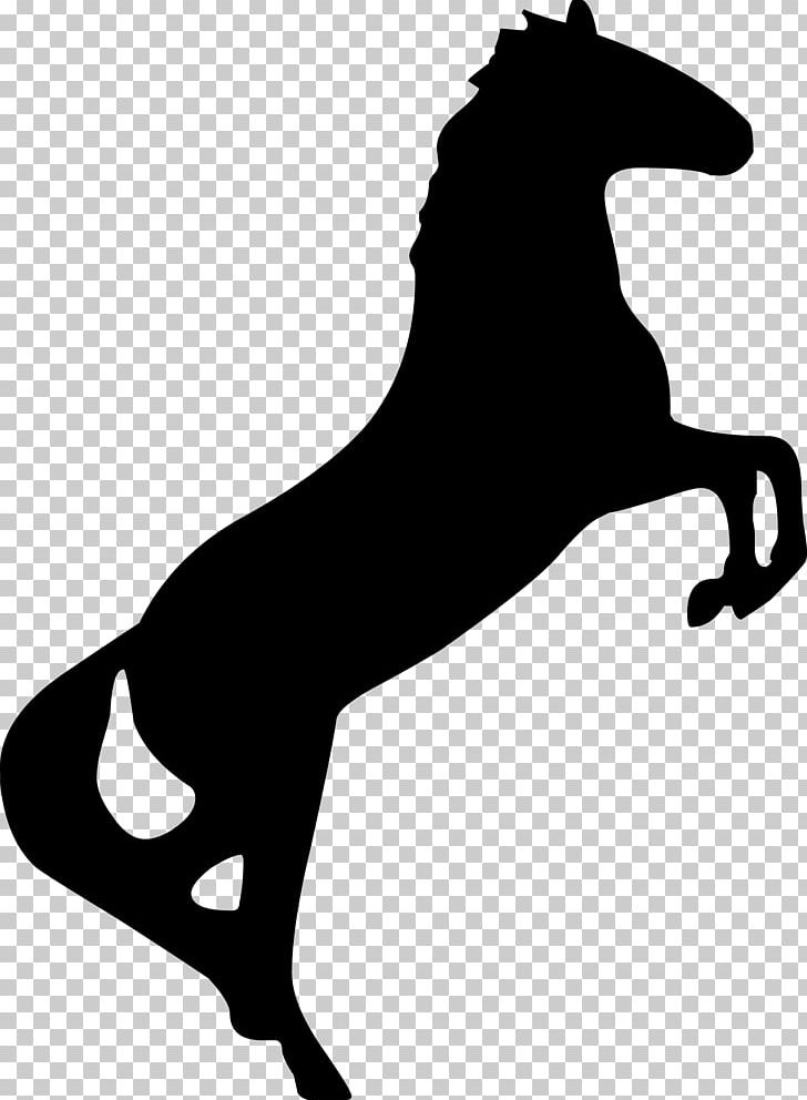 Horse Bronco Stallion Rearing PNG, Clipart, Animals, Black, Carnivoran, Cat Like Mammal, Dog Like Mammal Free PNG Download