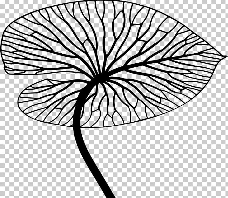Line Art Drawing PNG, Clipart, Art, Artwork, Black, Black And White, Branch Free PNG Download