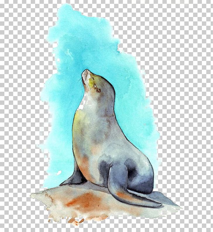 Sea Lion Watercolor Painting PNG, Clipart, Aesthetics, Animals, Aquatic, Aquatic Creatures, Creatures Free PNG Download