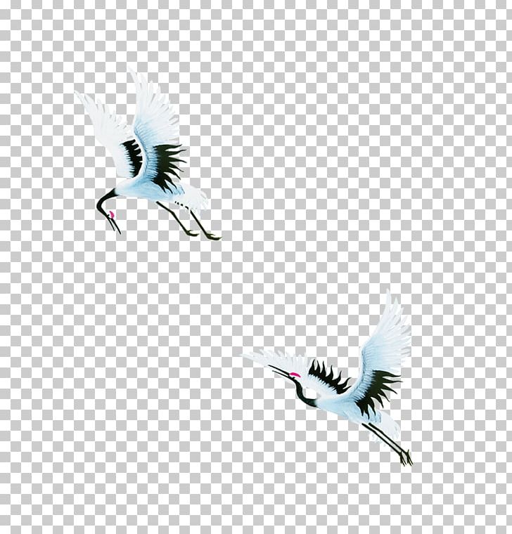 Bird Crane Swan Goose PNG, Clipart, Beak, Bird, Birds, Chinese, Chinese Style Free PNG Download