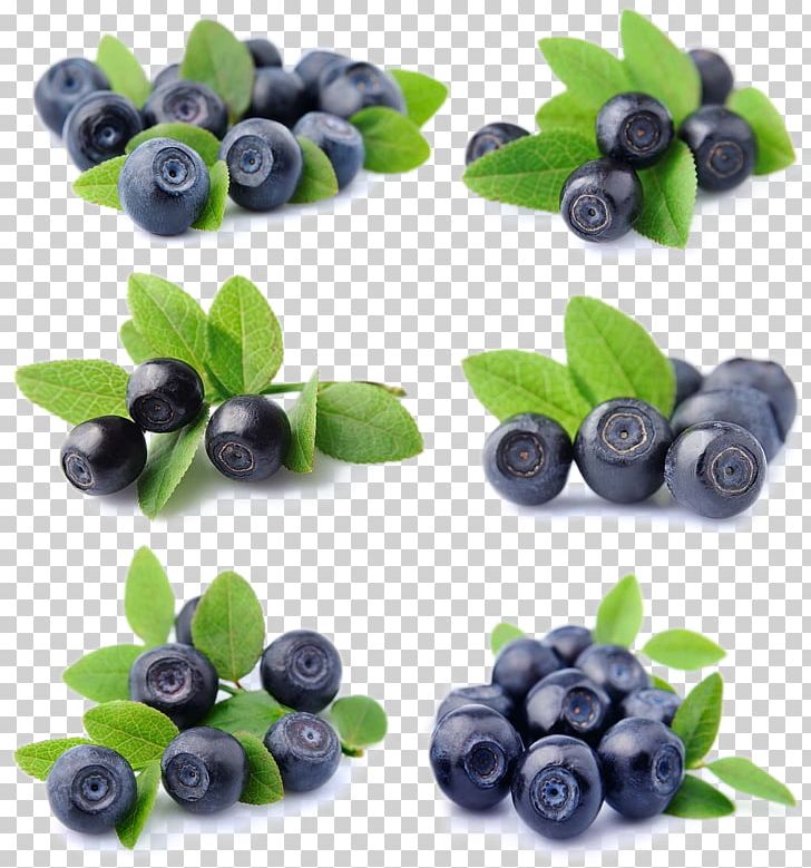 Blueberry Fruit Bilberry Lingonberry PNG, Clipart, Berry, Blueberries, Blueberry Fruit, Blueberry Juice, Chokeberry Free PNG Download