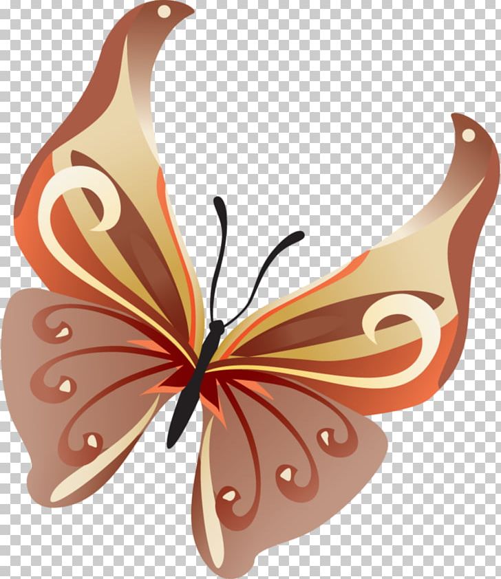 Photography Digital PNG, Clipart, Animation, Brush Footed Butterfly, Butterflies And Moths, Butterfly, Child Free PNG Download