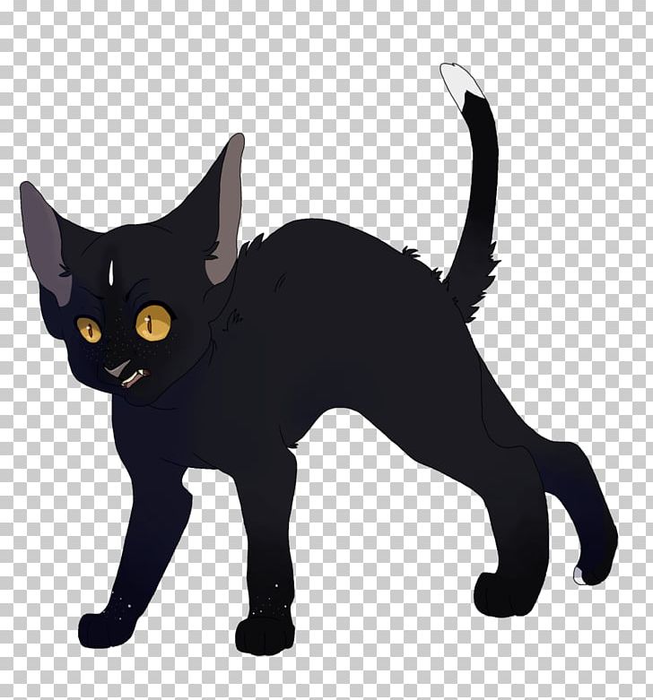 Black Cat Kitten Domestic Short-haired Cat Whiskers PNG, Clipart, Animals, Asia, Asian, Asian People, Bla Free PNG Download