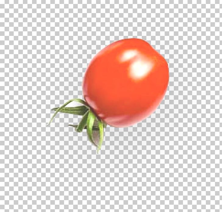 Jchef Cooking Tomato Meal Kosher Foods PNG, Clipart, Bowl, Cooking, Cookware, Cutting Boards, Fruit Free PNG Download