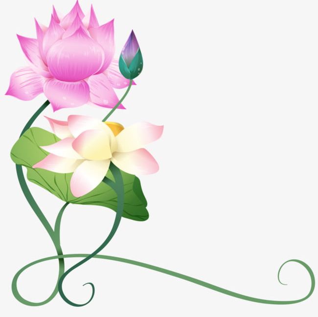Lotus Background PNG, Clipart, Background, Background Clipart, Creative, Hand Painted, Hand Painted Lotus Free PNG Download