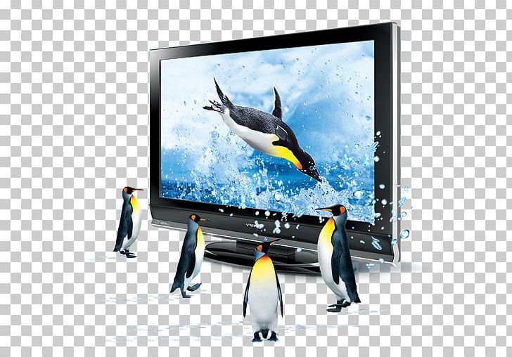 3D Television 3D Computer Graphics Icon PNG, Clipart, 3d Computer Graphics, 3d Television, Advertising, Animals, Autodesk 3ds Max Free PNG Download