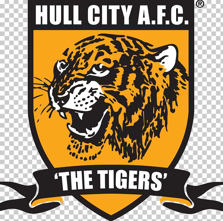 Hull City KCOM Stadium English Football League Hull Kingston Rovers PNG, Clipart, App, Artwork, Big Cats, Brand, Carnivoran Free PNG Download