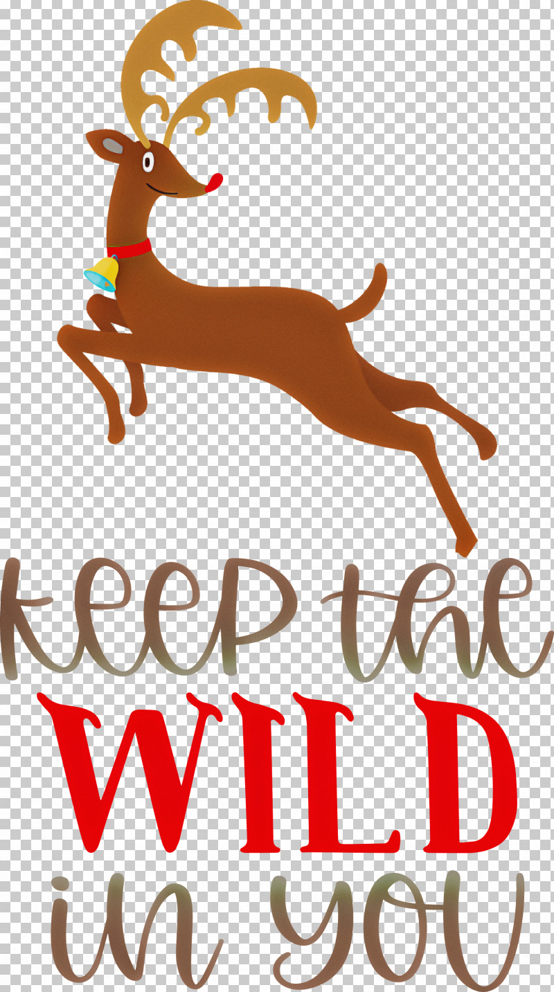 Keep Wild Deer PNG, Clipart, Christmas Day, Christmas Decoration, Decoration, Deer, Keep Wild Free PNG Download