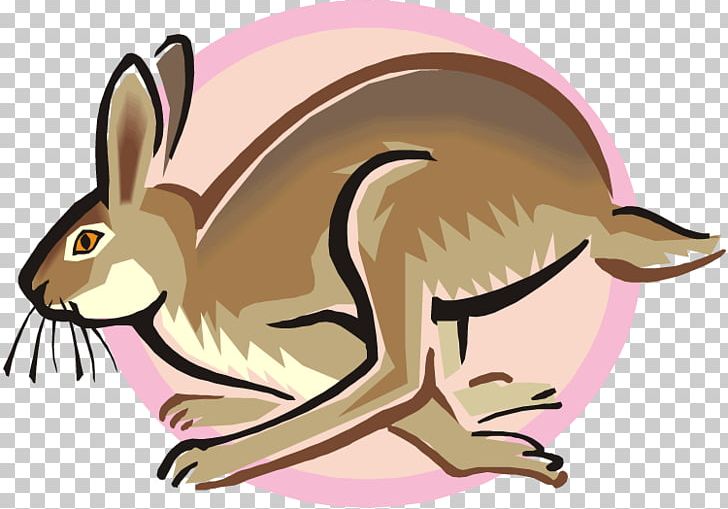Arctic Hare Snowshoe Hare Rabbit PNG, Clipart, Animals, Arctic Hare, Carnivoran, Cartoon, Cottontail Rabbit Free PNG Download