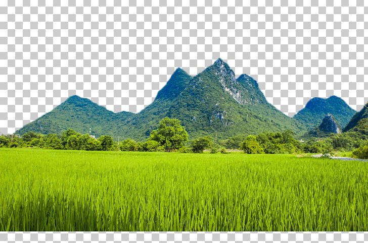 Conghua District Farm Agriculture Rural Tourism Crop PNG, Clipart, Business, Computer Wallpaper, Ecosystem, Energy, Farm Stay Free PNG Download
