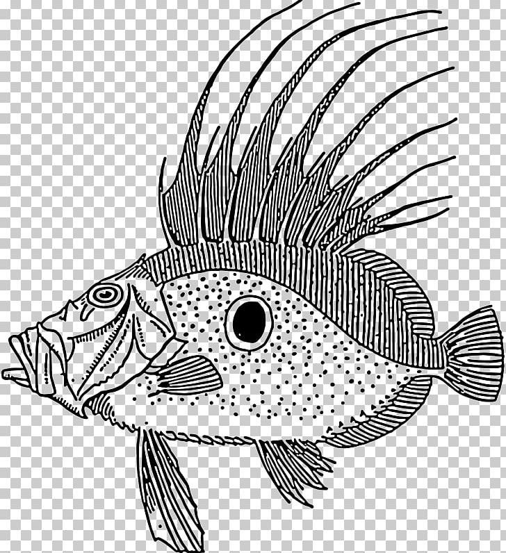 Coral Reef Fish Blue Tang Scale PNG, Clipart, Animals, Art, Beak, Black And White, Blue Tang Free PNG Download