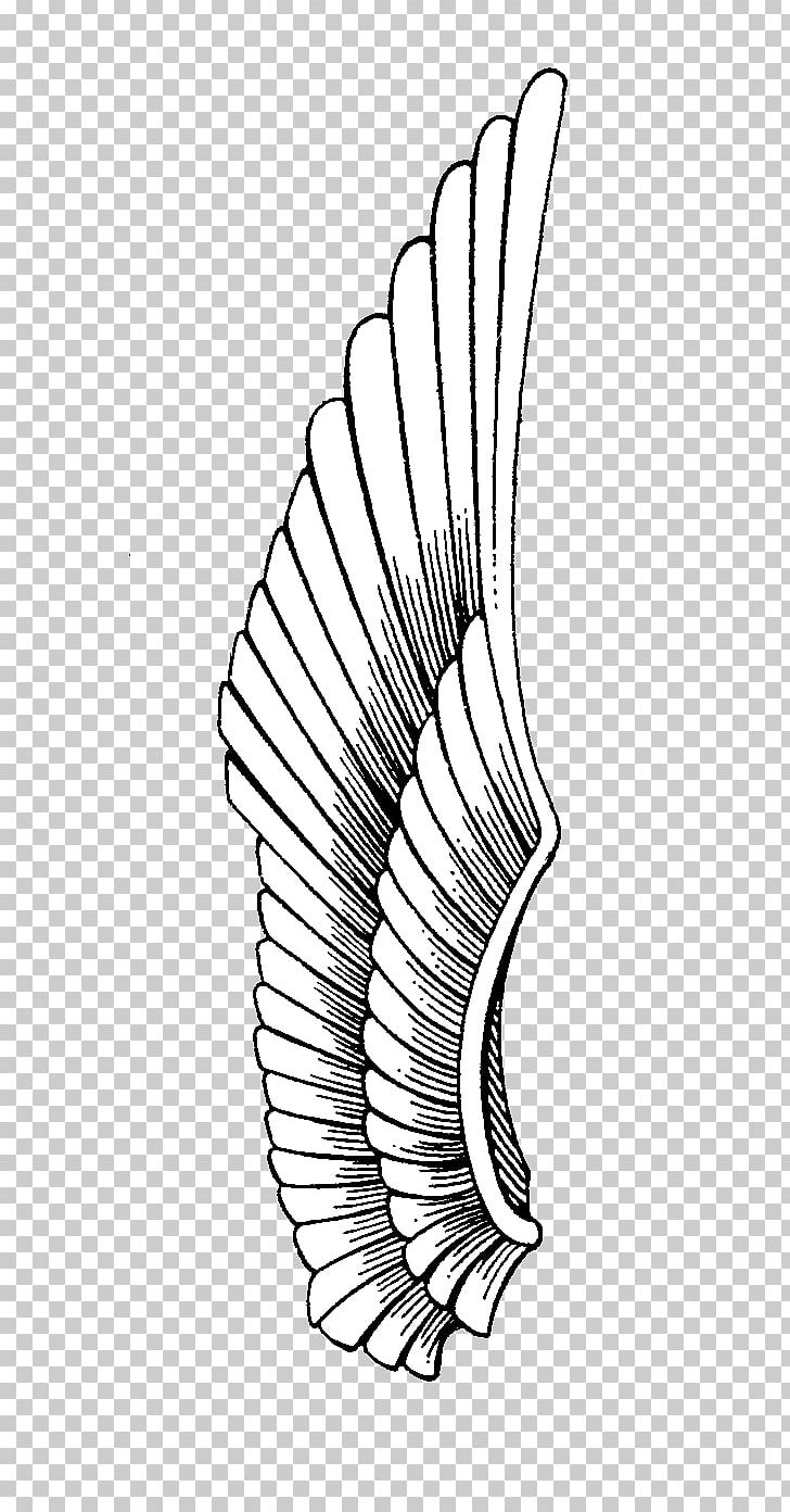 Drawing Line Art Eagle Monochrome PNG, Clipart, Angle, Animal, Animals, Area, Arm Free PNG Download