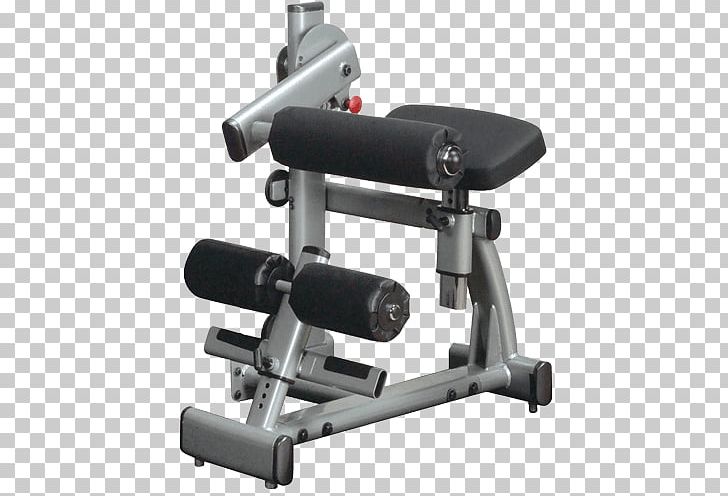 Machine Rear Delt Raise Triceps Brachii Muscle Abdomen PNG, Clipart, Abdo, Abdomen, Bench, Biceps, Calf Free PNG Download