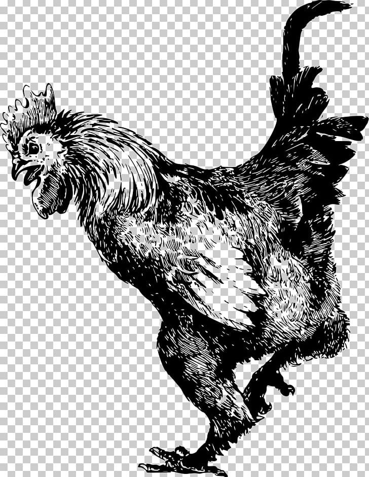 Rooster Dominique Chicken Old English Game Fowl Pekin Chicken Cochin Chicken PNG, Clipart, Animals, Art, Bantam, Beak, Bird Free PNG Download