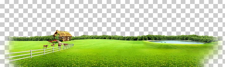 Agriculture Grassland Meadow Farm Pasture PNG, Clipart, Agriculture, Crop, Ecosystem, Farm, Field Free PNG Download