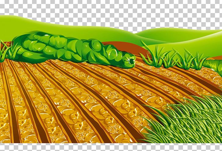 Arable Land PNG, Clipart, Cartoon, Commodity, Corn On The Cob, Designer, Download Free PNG Download