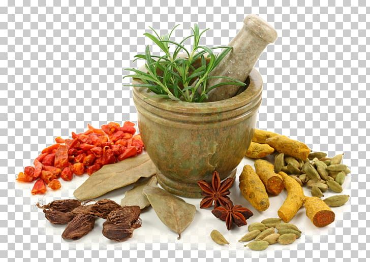 Ayurveda Ayurvedic Healing Medicine Therapy Health PNG, Clipart, Disease, Food, Medical Care, Natural Foods, Panchakarma Free PNG Download