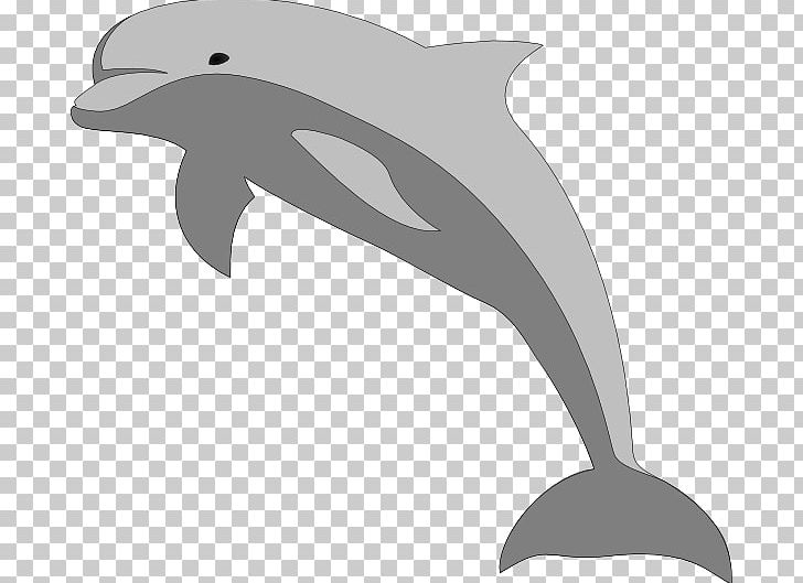 Bottlenose Dolphin Computer Icons PNG, Clipart, Animals, Beak, Bird, Black And White, Bottlenose Dolphin Free PNG Download