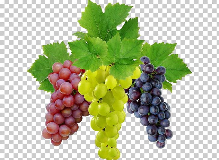 Common Grape Vine Sultana Juice Fruit PNG, Clipart, Berry, Common Grape Vine, Dried Fruit, Flowering Plant, Food Free PNG Download