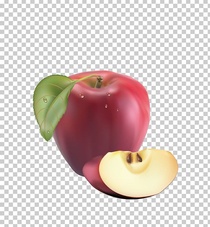 Fruit Realism Apple PNG, Clipart, Apple, Apple Fruit, Apple Logo, Apple Tree, Apple Vector Free PNG Download