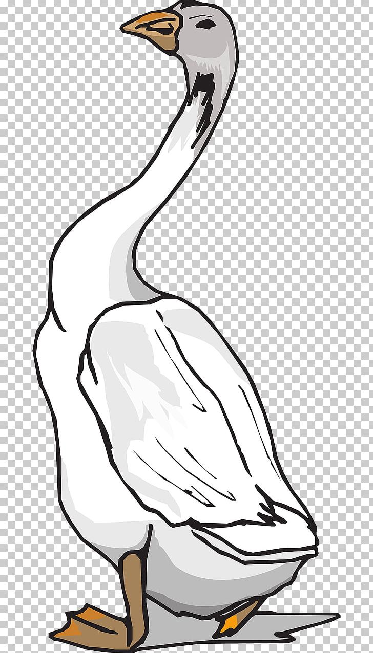 Goose Grey Geese Duck Bird PNG, Clipart, Animals, Artwork, Beak, Bird, Black And White Free PNG Download
