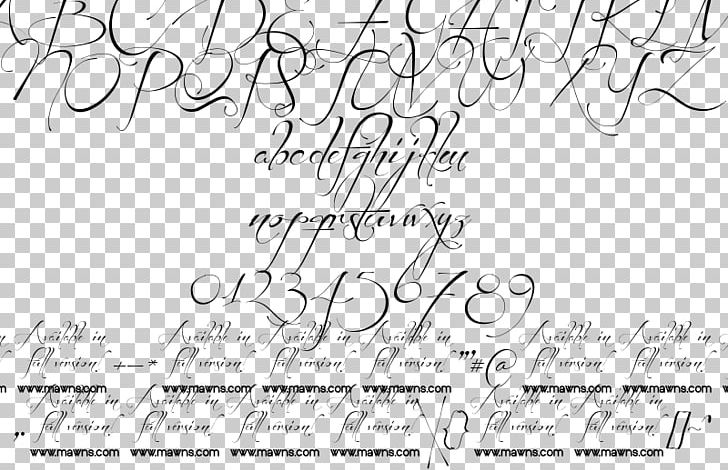 Handwriting Line Art Angle Font PNG, Clipart, Angle, Area, Art, Black And White, Calligraphy Free PNG Download