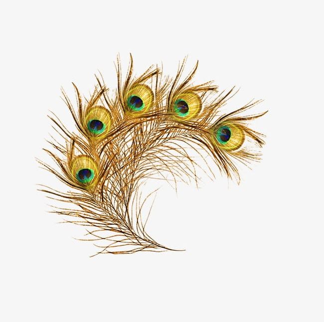 Peacock Feather PNG, Clipart, Animal, Decoration, Feather, Feather Clipart, Float Free PNG Download
