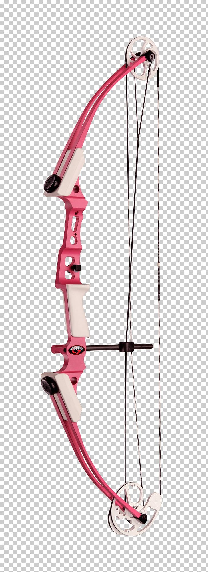 Compound Bows Bow And Arrow Archery Hunting PNG, Clipart, Archery, Arrow, Bow And Arrow, Bowhunting, Compound Bows Free PNG Download