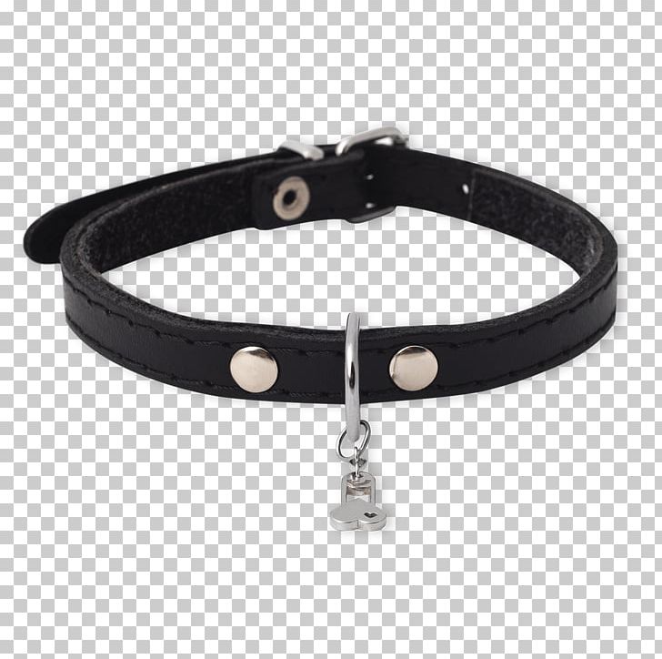 Dog Collar Bracelet Belt PNG, Clipart, Animals, Belt, Black, Bracelet, Collar Free PNG Download