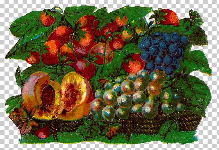 Fruit Digital Art Watercolor Painting Food Gift Baskets PNG, Clipart, Art, Auglis, Berry, Digital Art, Digital Image Free PNG Download