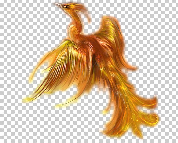 Phoenix Mythology Legend Bird PNG, Clipart, Bird, Drawing, Fairy, Fantasy, Feather Free PNG Download