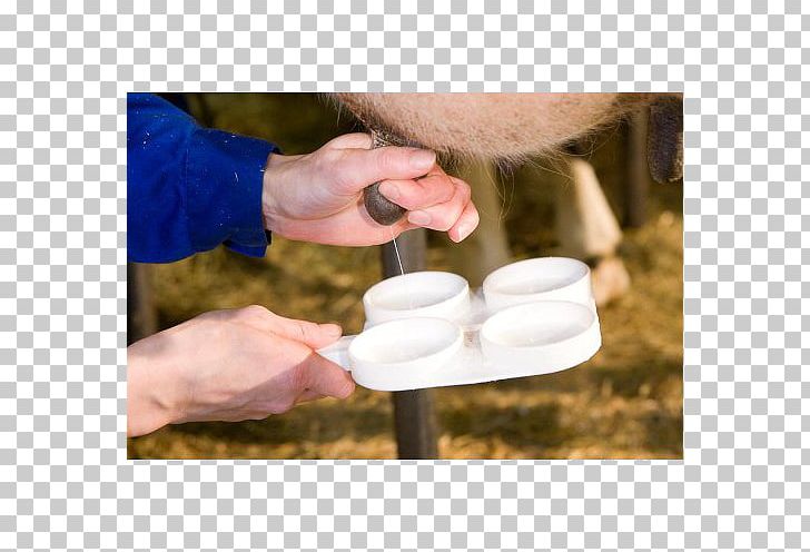 Taurine Cattle Milk California Mastitis Test Mastitis In Dairy Cattle PNG, Clipart, Brucellosis, Cattle, Disease, Drinkware, Fever Free PNG Download
