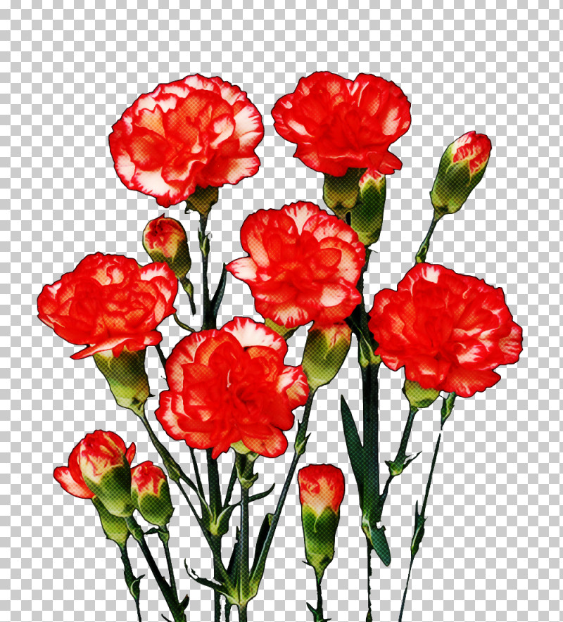 Artificial Flower PNG, Clipart, Artificial Flower, Carnation, Coquelicot, Corn Poppy, Cut Flowers Free PNG Download