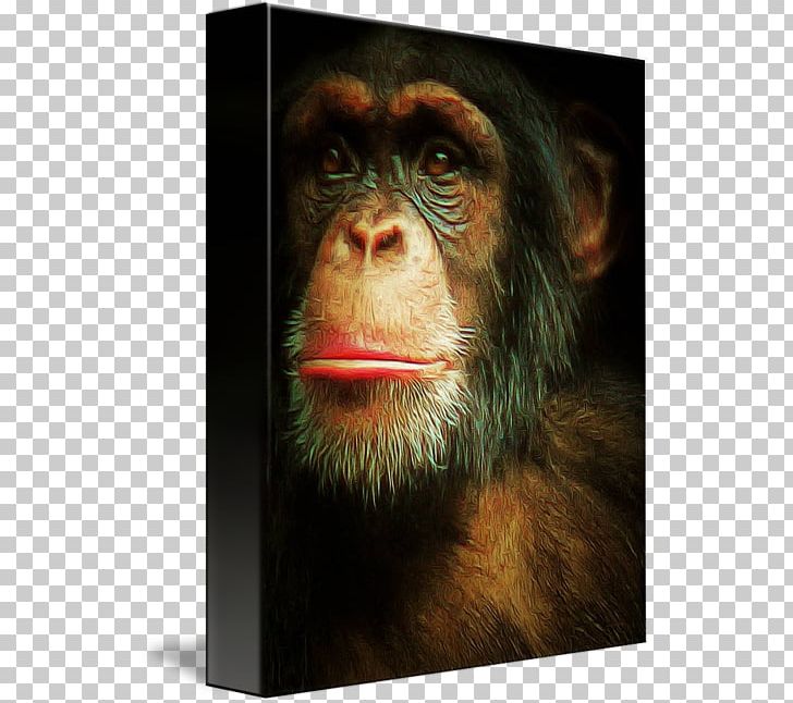 Common Chimpanzee Canvas Print Art Painting PNG, Clipart, Art, Canvas, Canvas Print, Chimpanzee, Common Chimpanzee Free PNG Download