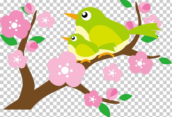 Illustration Of Beautiful Plum Blossoms And Bunny PNG, Clipart, Artwork, Beak, Bird, Branch, Flora Free PNG Download