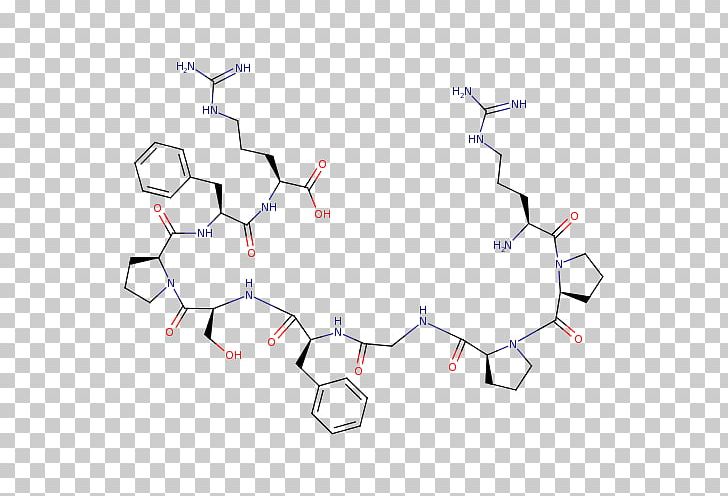 Technology Point Angle PNG, Clipart, Angle, Area, Bradykinin, Circle, Diagram Free PNG Download