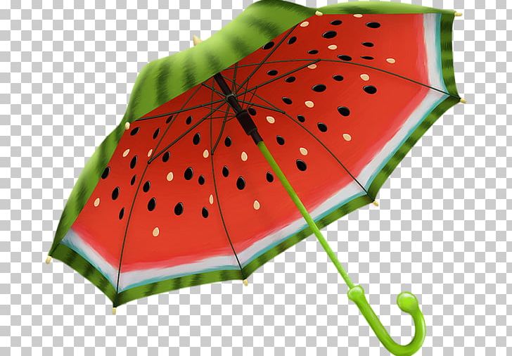 Umbrella Gift Shop Souvenir Raincoat PNG, Clipart, Business, Citrullus, Clothing, Drop Shipping, Fruit Free PNG Download
