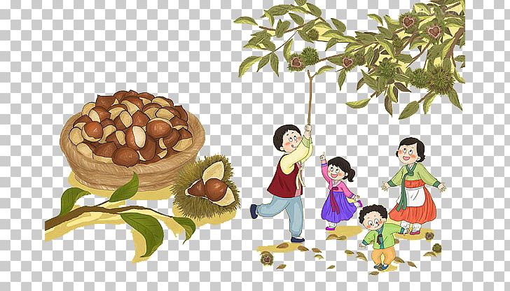 Chinese Chestnut Castanea Crenata Drawing Cartoon Illustration PNG, Clipart, Art, Branches, Cartoon, Castanea Crenata, Chestnut Free PNG Download