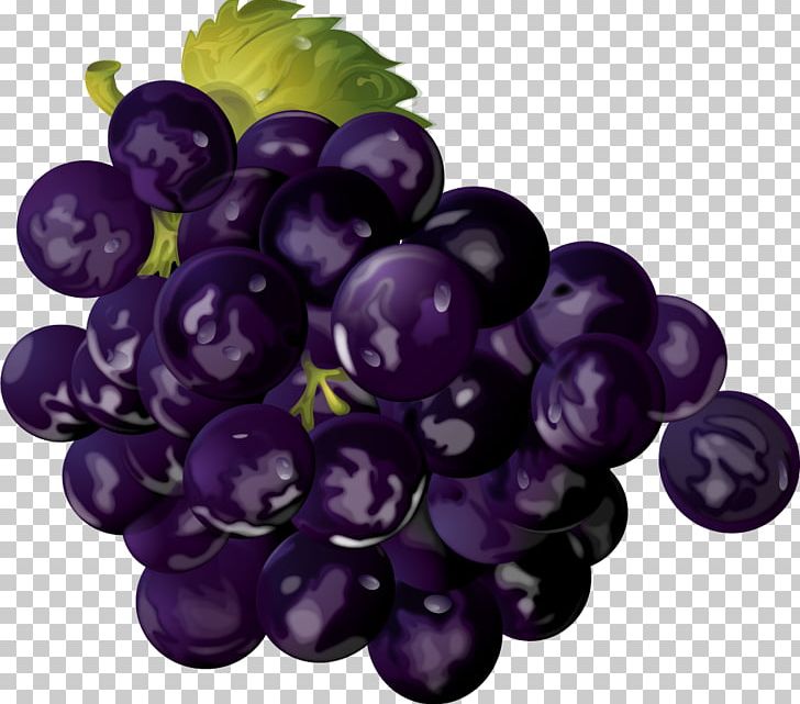 Peach Fruit Grape Painting PNG, Clipart, Blueberry, Blueberry Vector, Cherry, Drawing, Food Free PNG Download