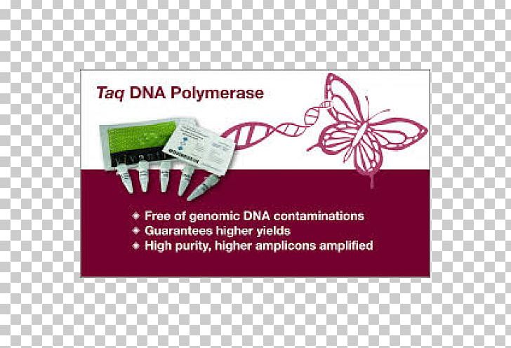 Taq Polymerase DNA Polymerase Nucleic Acid PNG, Clipart, Biology, Dna, Dna Polymerase, Enzyme, Laboratory Free PNG Download