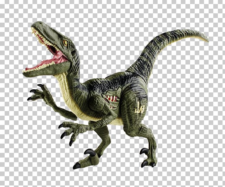 Velociraptor Tyrannosaurus Dinosaur PNG, Clipart, Clip Art, Dinosaur, Dinosaur Fossils, Dinosaur Intelligence, Dinosaur Png Free PNG Download