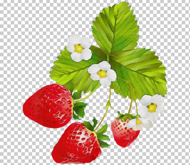 Strawberry PNG, Clipart, Accessory Fruit, Alpine Strawberry, Berry, Flower, Food Free PNG Download