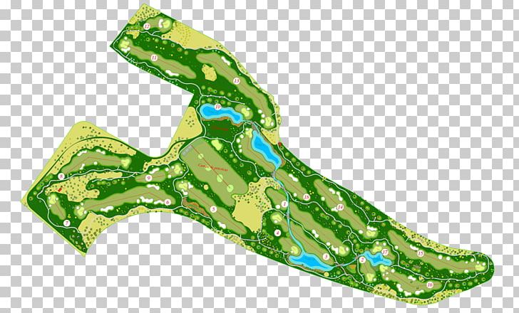 La Faisanera Golf Golf Course Map Plan PNG, Clipart, Animal, Blog, Credit Card, Golf, Golf Course Free PNG Download