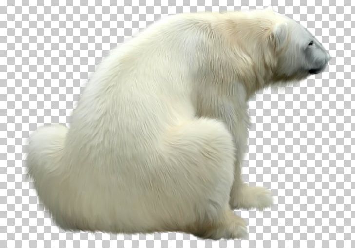 Polar Bear Polar Regions Of Earth Icon PNG, Clipart, Animal, Animals, Arctic, Bear, Bears Free PNG Download
