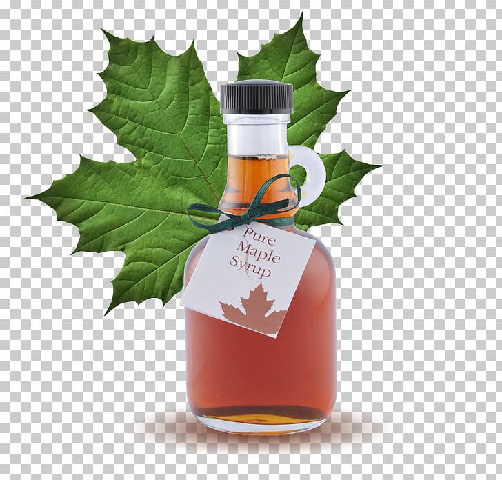 Canadian Cuisine Maple Syrup Maple Butter Maple Sugar PNG, Clipart, Bottle, Canadian Cuisine, Condiment, Cooking, Food Free PNG Download