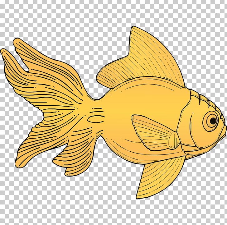 Carassius Auratus Fish PNG, Clipart, Carassius Auratus, Download, Fauna, Fish, Free Content Free PNG Download