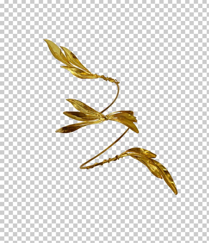 Commodity PNG, Clipart, Commodity, Others, Plant Stem, Thyreos, Twig Free PNG Download