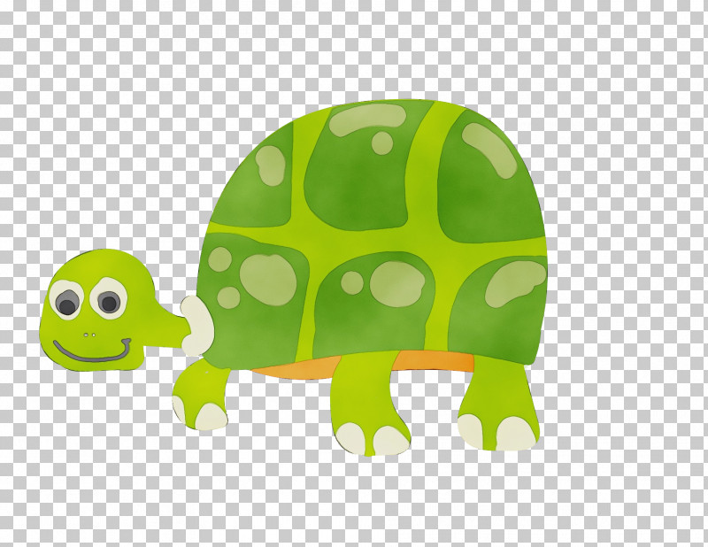 Tortoise Turtles Tortoise M Green Cartoon PNG, Clipart, Cartoon, Green, Paint, Tortoise, Tortoise M Free PNG Download