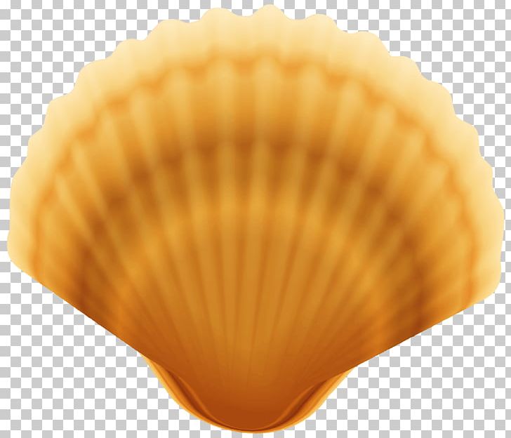 Cockle Scallop PNG, Clipart, Beach, Clam, Clamshell, Clams Oysters Mussels And Scallops, Clipart Free PNG Download