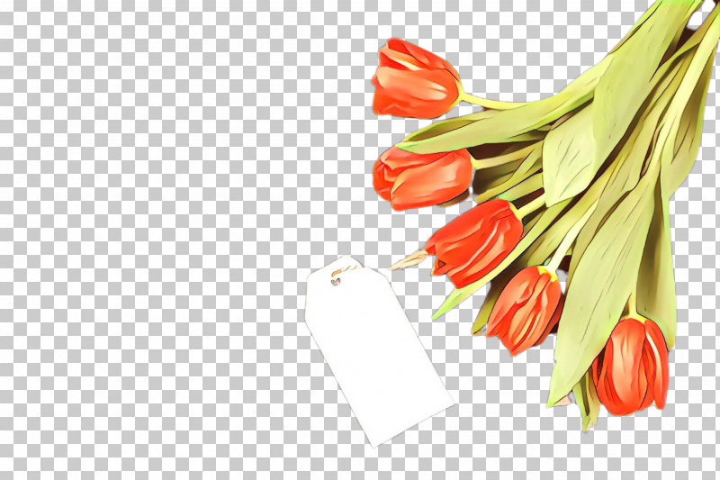Peperoncini Plant Tabasco Pepper Malagueta Pepper Tulip PNG, Clipart, Chili Pepper, Flower, Food, Malagueta Pepper, Peperoncini Free PNG Download